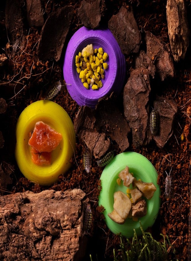 HERPDEN 12pcs Dubia Roaches Feeder Bowls, Tiny Feeding Dish for Isopods, Springtails, Dubia Roaches, Dwarf Invertebrates - Colorful Food Dishes for Terrariums and Enclosures - Image 2